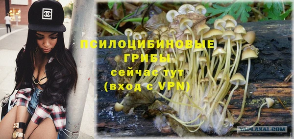 mdpv Абдулино